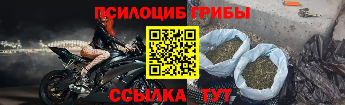 Краснознаменск  Галлюциногенные грибы GOLDEN TEACHER  Вход с VPN 