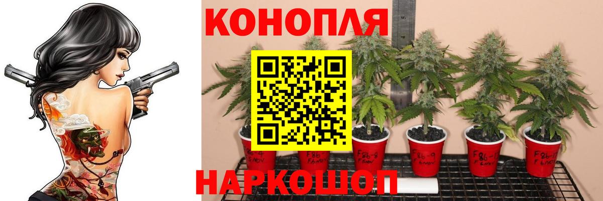Шишки марихуана Ganja Краснознаменск